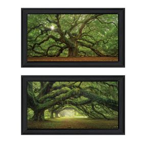 "Tree Arbors" 2-Piece Vignette by Moises Levy, Black Frame