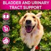 Dog Urinary Treatment Cranberry Supplement for Dogs Bladder Control for Dogs Urinary Tract Infection Treatment Multivitamin Chews